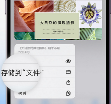 金昌apple维修中心分享iPhone文件应用中存储和找到下载文件