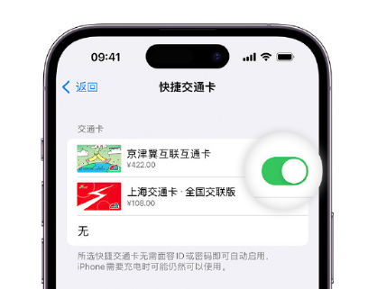 金昌apple维修点分享iPhone上更换Apple Pay快捷交通卡手绘卡面 