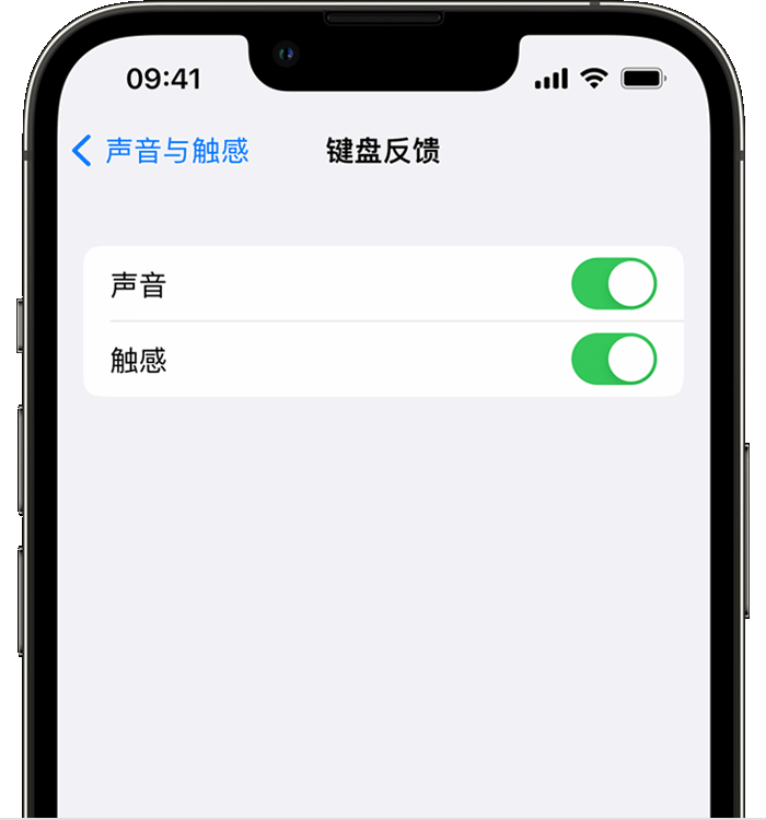 金昌苹果14维修店分享如何在 iPhone 14 机型中使用触感键盘 