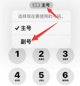 金昌苹果14维修店分享iPhone 14 Pro Max使用副卡打电话的方法 