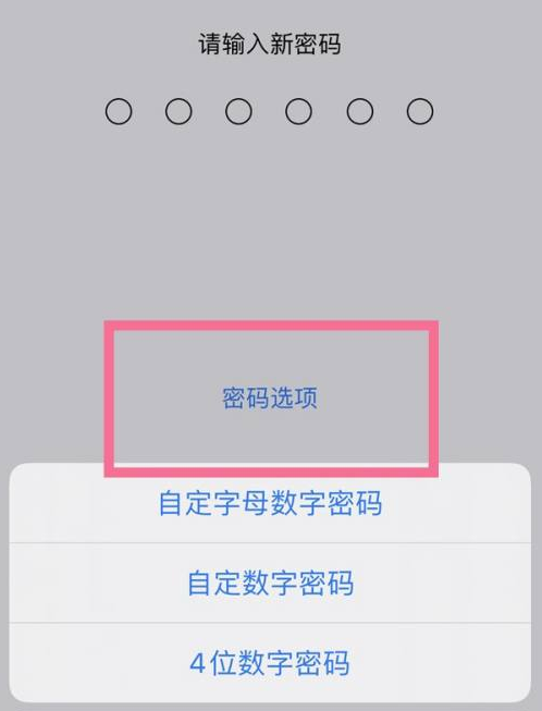 金昌苹果14维修分享iPhone 14plus设置密码的方法 