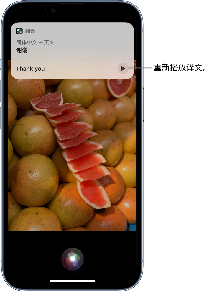 金昌苹果14维修分享 iPhone 14 机型中使用 Siri：了解 Siri 能帮你做什么 