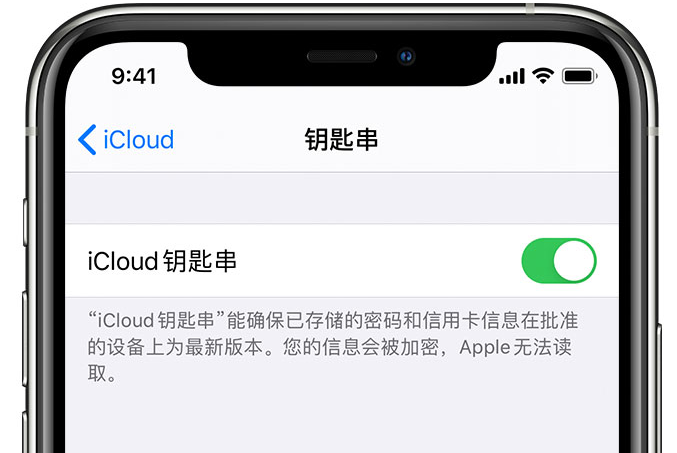 金昌苹果手机维修分享在 iPhone 上开启 iCloud 钥匙串之后会储存哪些信息 