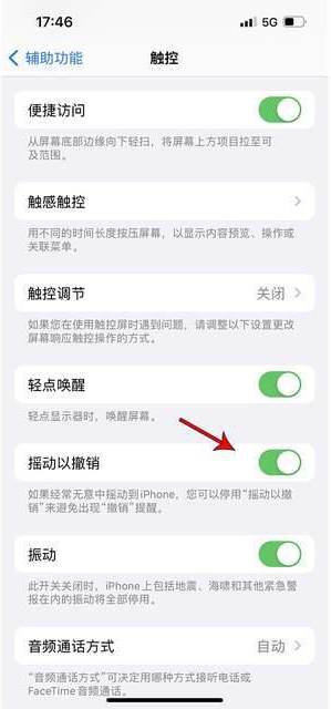 金昌苹果手机维修分享iPhone手机如何设置摇一摇删除文字 